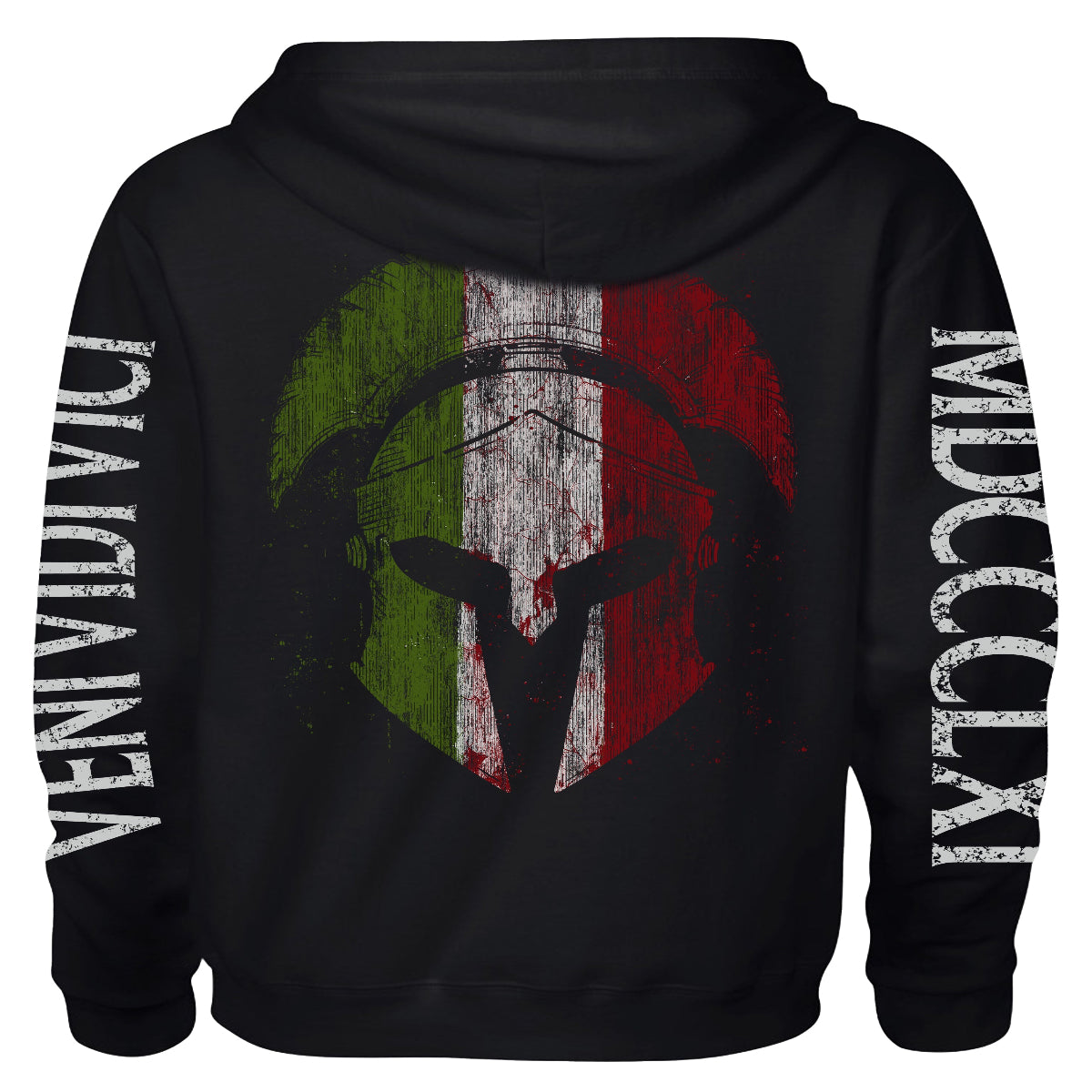 Veni Vidi Vici Hoodie